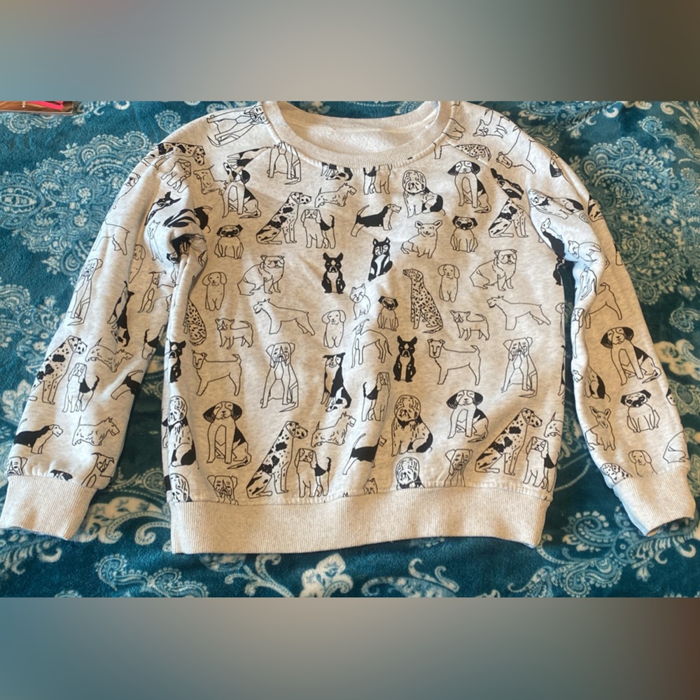 Dog sweatshirt